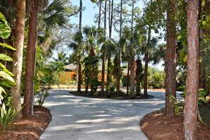 House, Multiple Beds (JUPITER * POOL*TIKI HUT*3 WATERFALLS*) | Property entrance