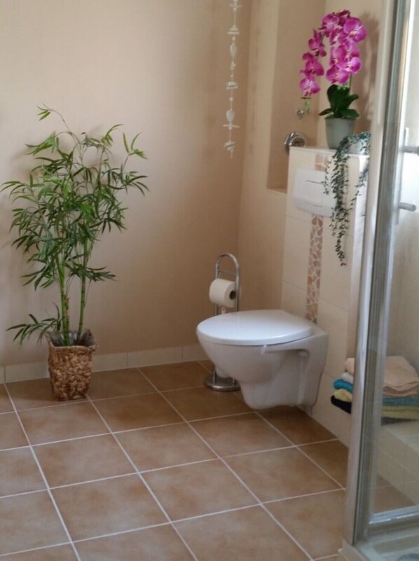 Hair dryer, towels, soap, toilet paper