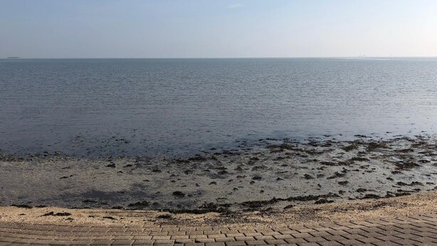 Une plage d’où l’on a une vue dégagée sur la mer et les navires au loin.