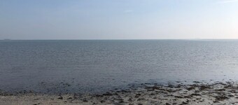 Apartment within walking distance to the water and the center 