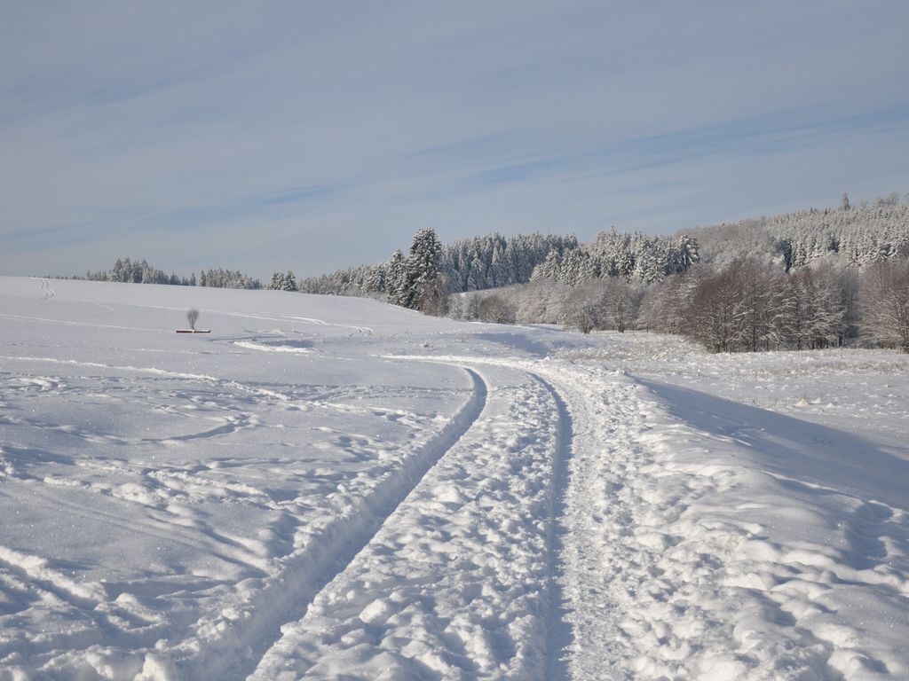 Un paysage enneigé, avec un ciel dégagé et un sentier qui traverse le champ.