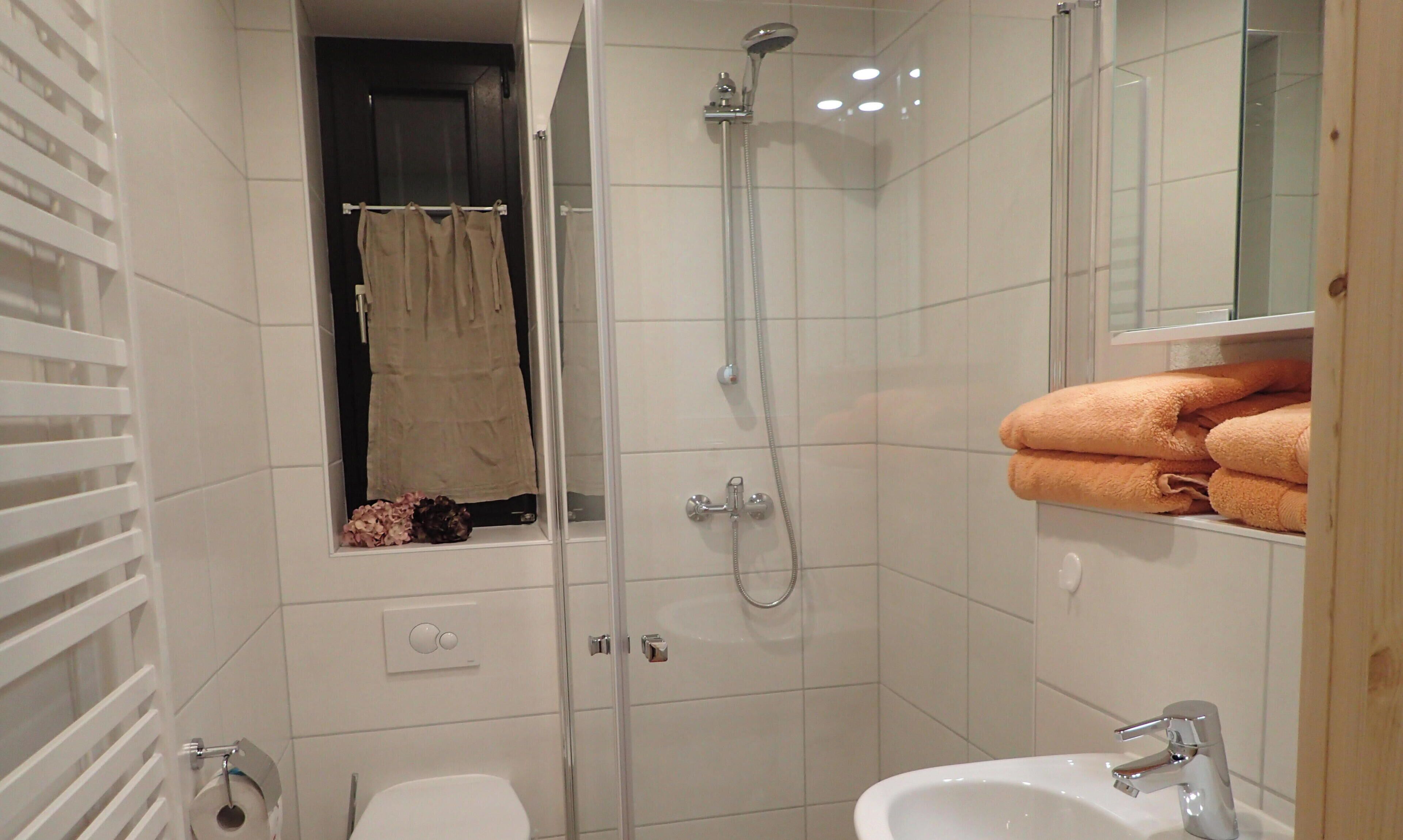 Une petite salle de bain comprenant des toilettes, une douche, un lavabo et un porte-serviettes.