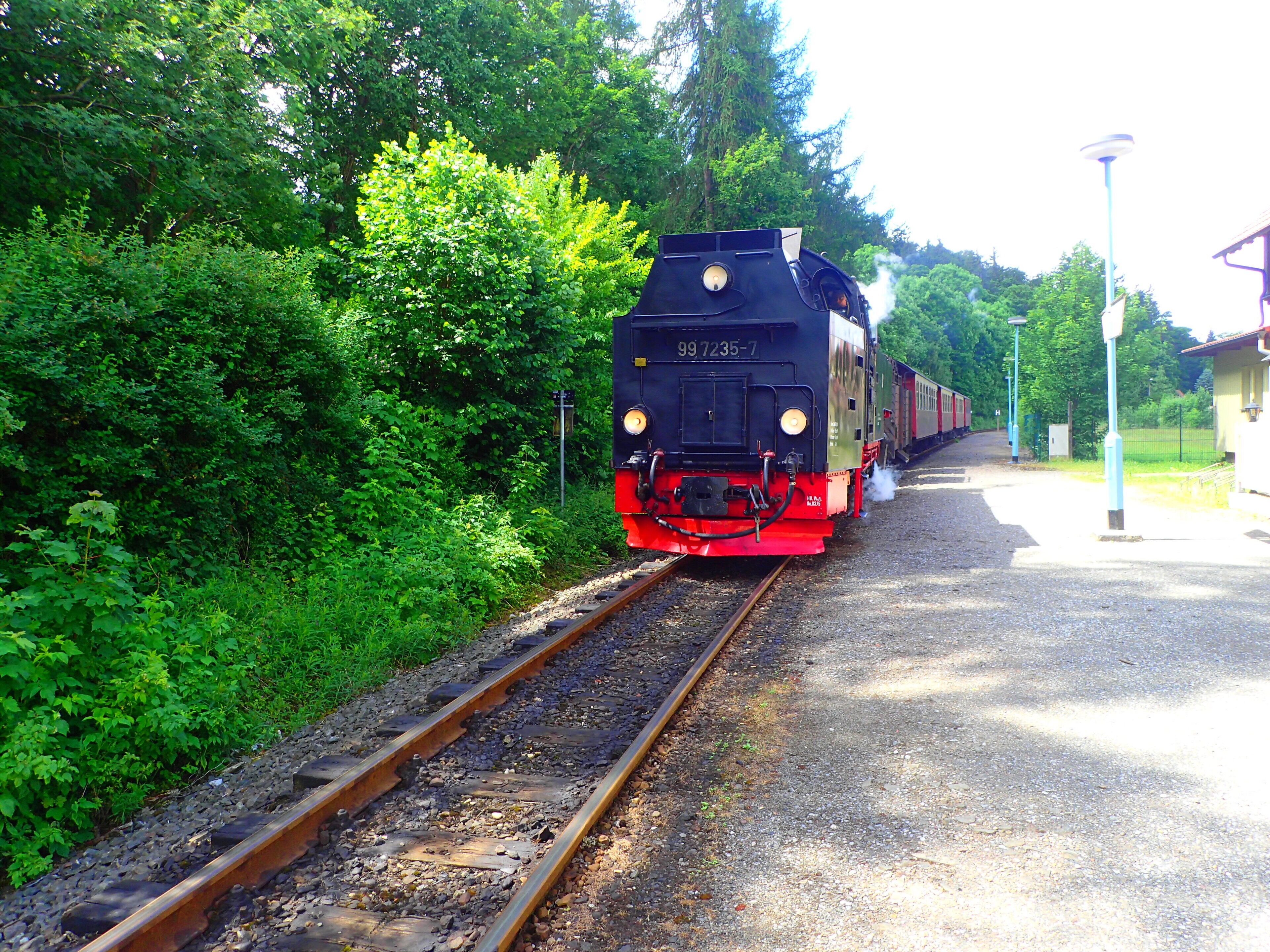 Ein Zug fährt auf Gleisen entlang, gesäumt von viel Grün.