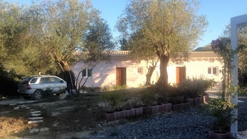 A rustic building with a tiled roof, surrounded by olive trees and a gravel path.