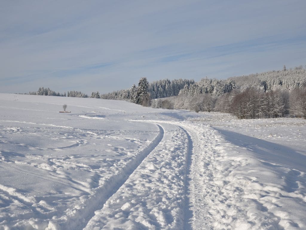 A snow-covered landscape with a clear sky and a path leading through the field.