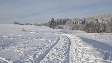 A snow-covered landscape with a clear sky and a path leading through the field.