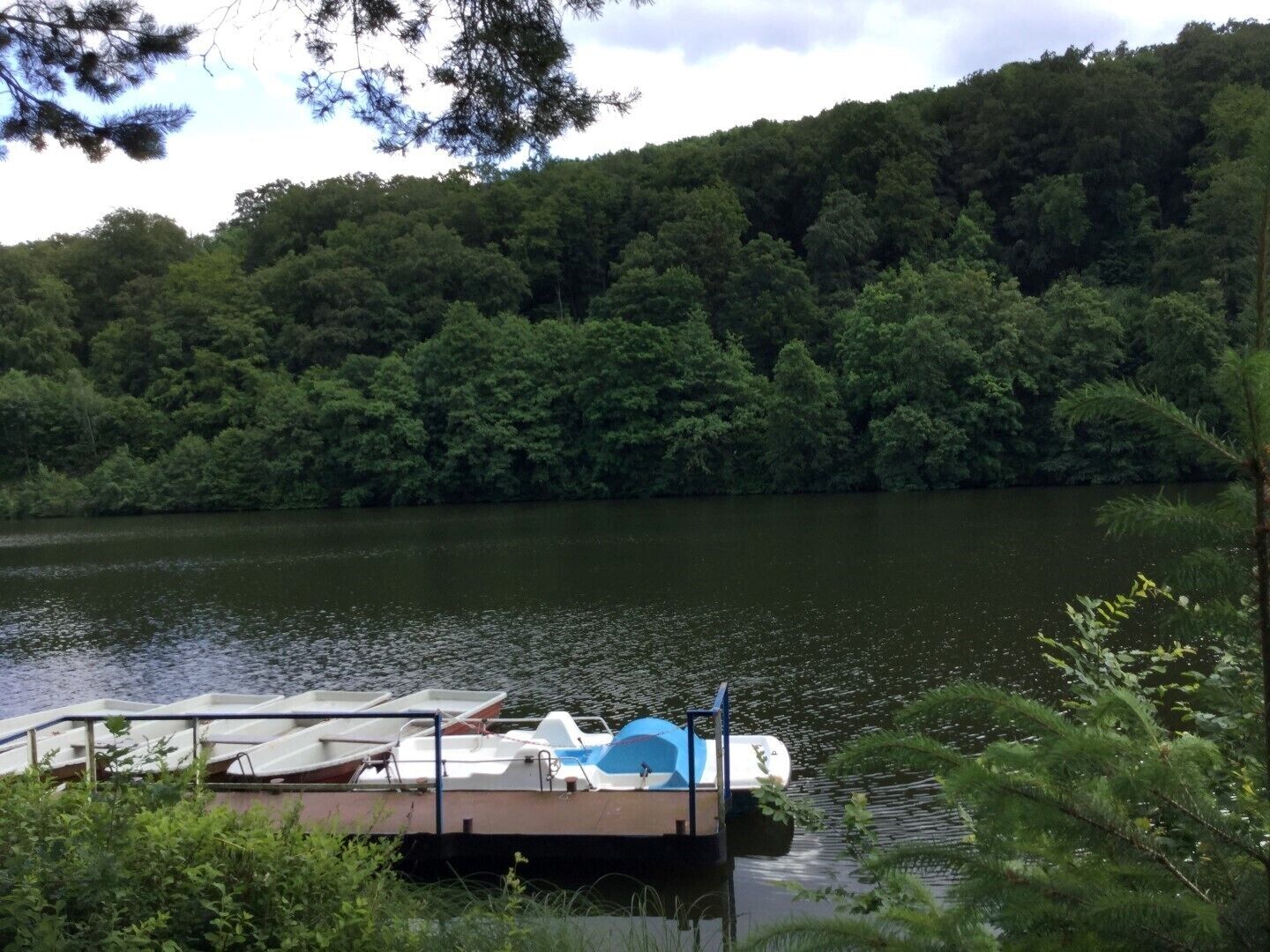Ein Steg mit Booten, umgeben von dichtem Wald und einem stillen See.