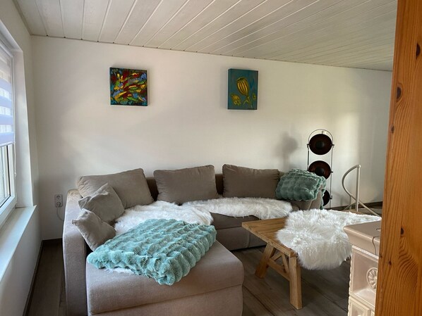 Télévision, cheminée, livres