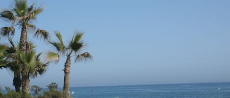 Playa en los alrededores, camastros y toallas de playa