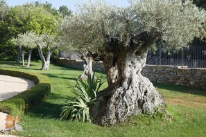 Property grounds - Countryside stone house from the Gard, 11482sqf of land, private pool, quiet (Vers-Pont-Du-Gard)