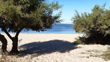 On the beach, sun-loungers