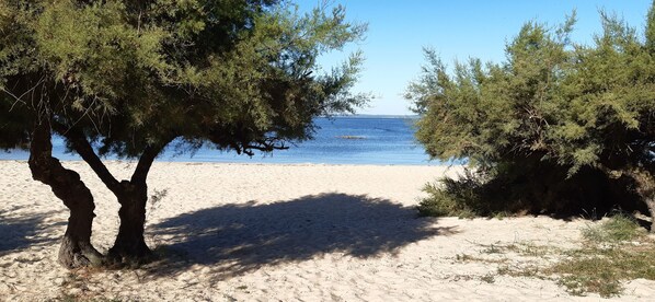 Plage, chaises longues