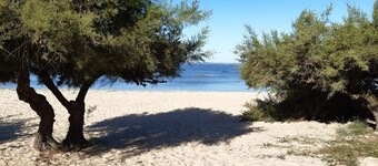 Grün, Bassin d'Arcachon, nahe Strand, Hafen, Geschäfte, 6 Pers.