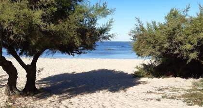 Grün, Bassin d'Arcachon, nahe Strand, Hafen, Geschäfte, 6 Pers.