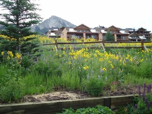 Walk to slopes or take free bus- Ski History Unit with 2 decks, sleeps 2