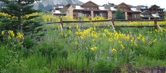  Ski History Unit with 2 decks, sleeps 2- walk to Base area for concerts