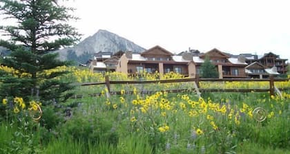 Ski History Unit with 2 decks, sleeps 2- walk to Base area for concerts