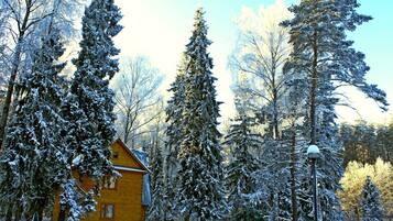 Cozy cabin surrounded by snow-covered trees, featuring a prominent chimney and natural enclosure.