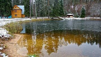 Järvi