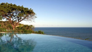 Uma piscina infinita com águas azul-claras, uma grande árvore e vista para o oceano.
