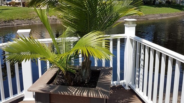 Un palmier en pot sur un balcon doté d’une balustrade blanche, d’où l’on aperçoit une étendue d’eau et des bâtiments au loin.