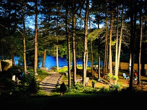Property grounds - Waterfront Plymouth Pond Retreat, Sleeps 6, Pet-Friendly, Kayaks, Fire Pits (Plymouth)