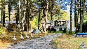 A pathway leading to a house surrounded by tall trees. - Waterfront Plymouth Pond Retreat, Sleeps 6, Pet-Friendly, Kayaks, Fire Pits (Plymouth)