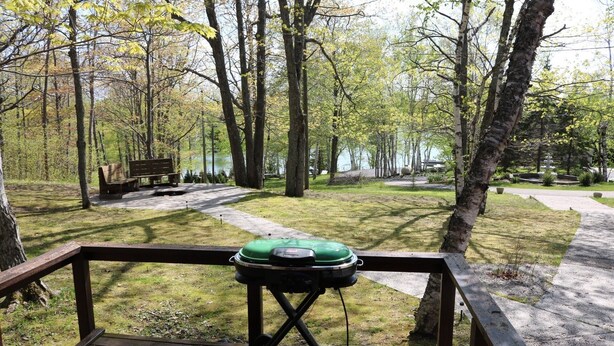 A wooden deck with a grill in the center, surrounded by trees and a bench in the background. - Private log cabin with view overlooking Grand Lake (Presque Isle)
