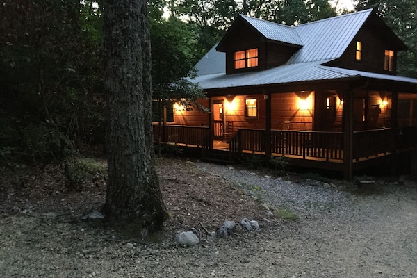 dancing bear at night