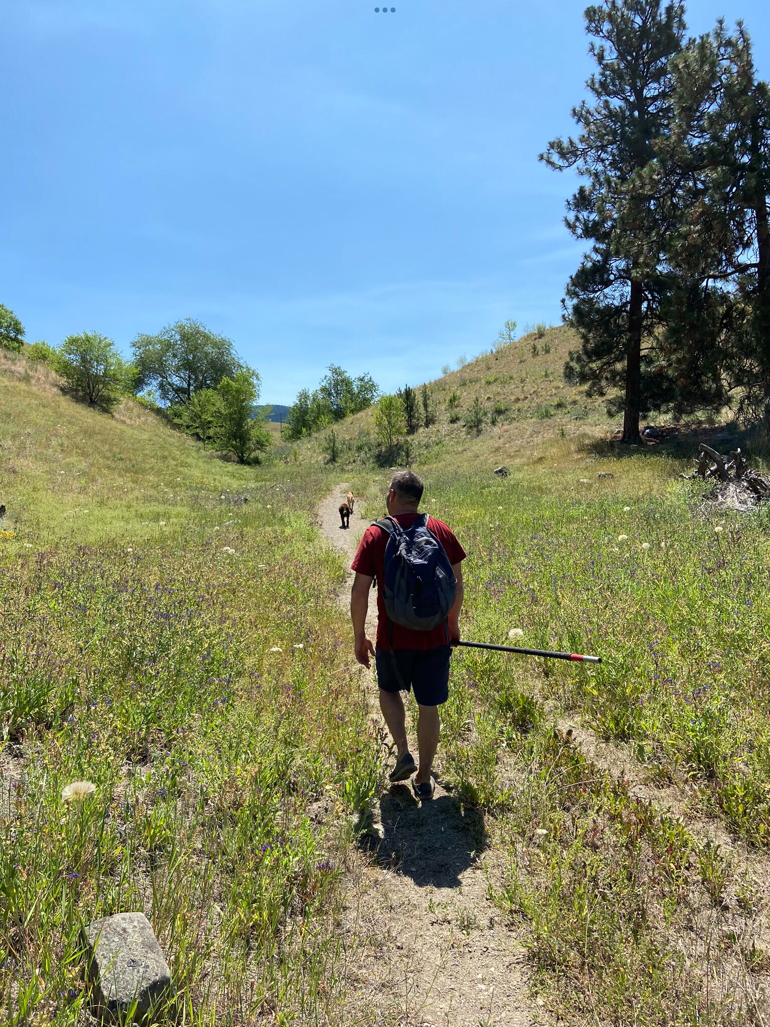 A person hiking on a trail surrounded by grass and trees.