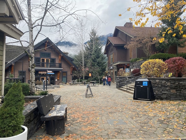 Property grounds - Lake Placid Lodge, Creekside, Ski In , Ski Out, 80 Steps To The Lift (Whistler)