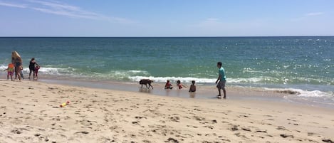 Sillas reclinables de playa, toallas de playa