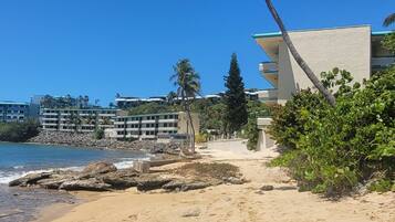 A beach with a palm tree, a sandy path, and a building with a white facade.