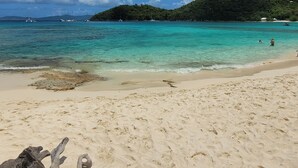 A beach with clear turquoise water, a sandy shore, and a large tree trunk in the foreground. - REMODELED 2026! Prime OCEANFRONT POOLSIDE 2BR/2BA Condo-BEST location+Generator (St Thomas)