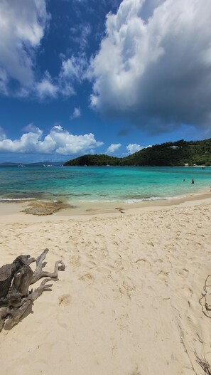 A beach with clear turquoise water, a sandy shore, and a large tree trunk in the foreground. - REMODELED 2026! Prime OCEANFRONT POOLSIDE 2BR/2BA Condo-BEST location+Generator (St Thomas)