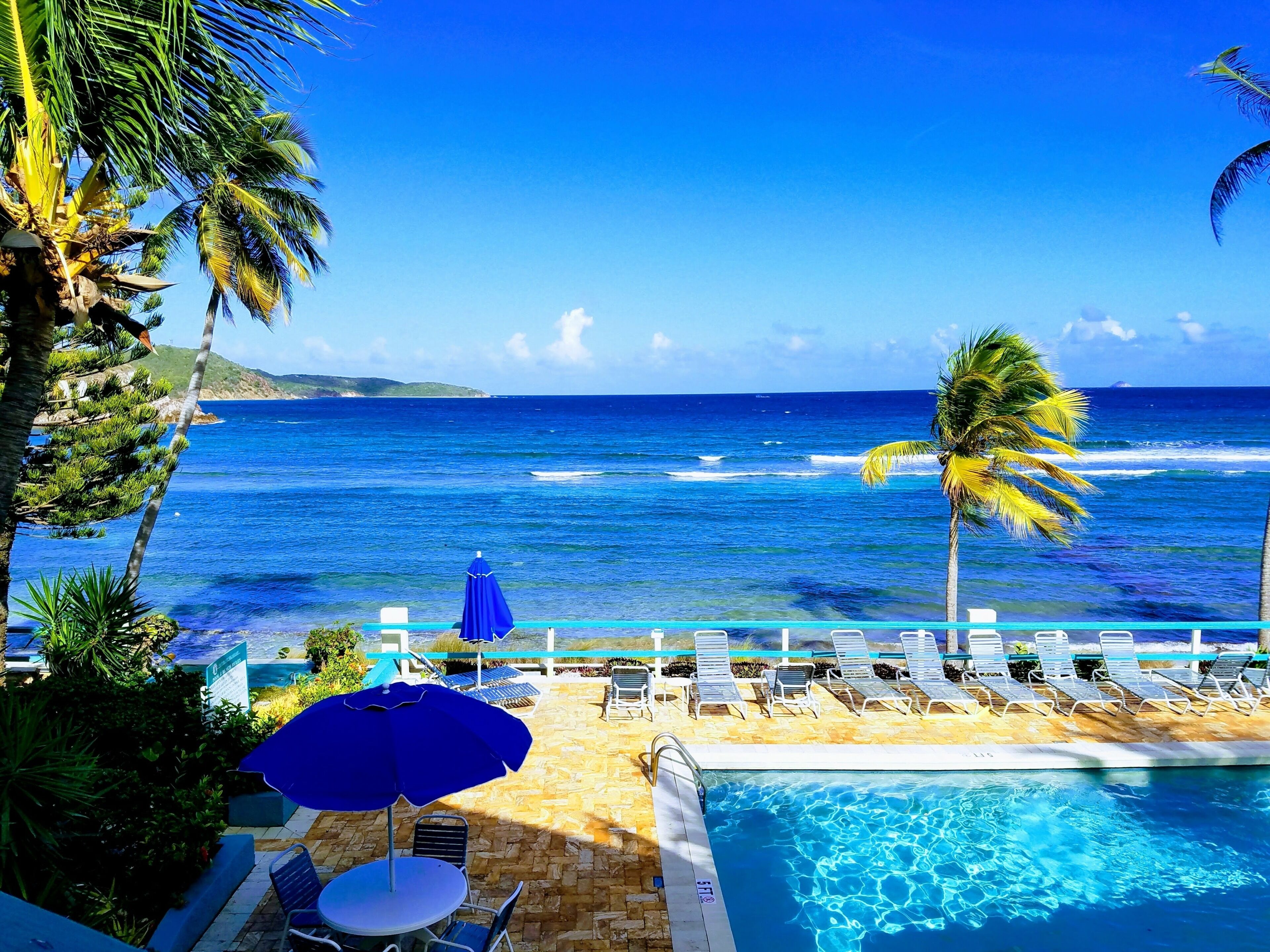 Un espace aménagé au bord de la piscine, avec des chaises longues et des parasols, offrant une vue sur un océan d’un bleu limpide.