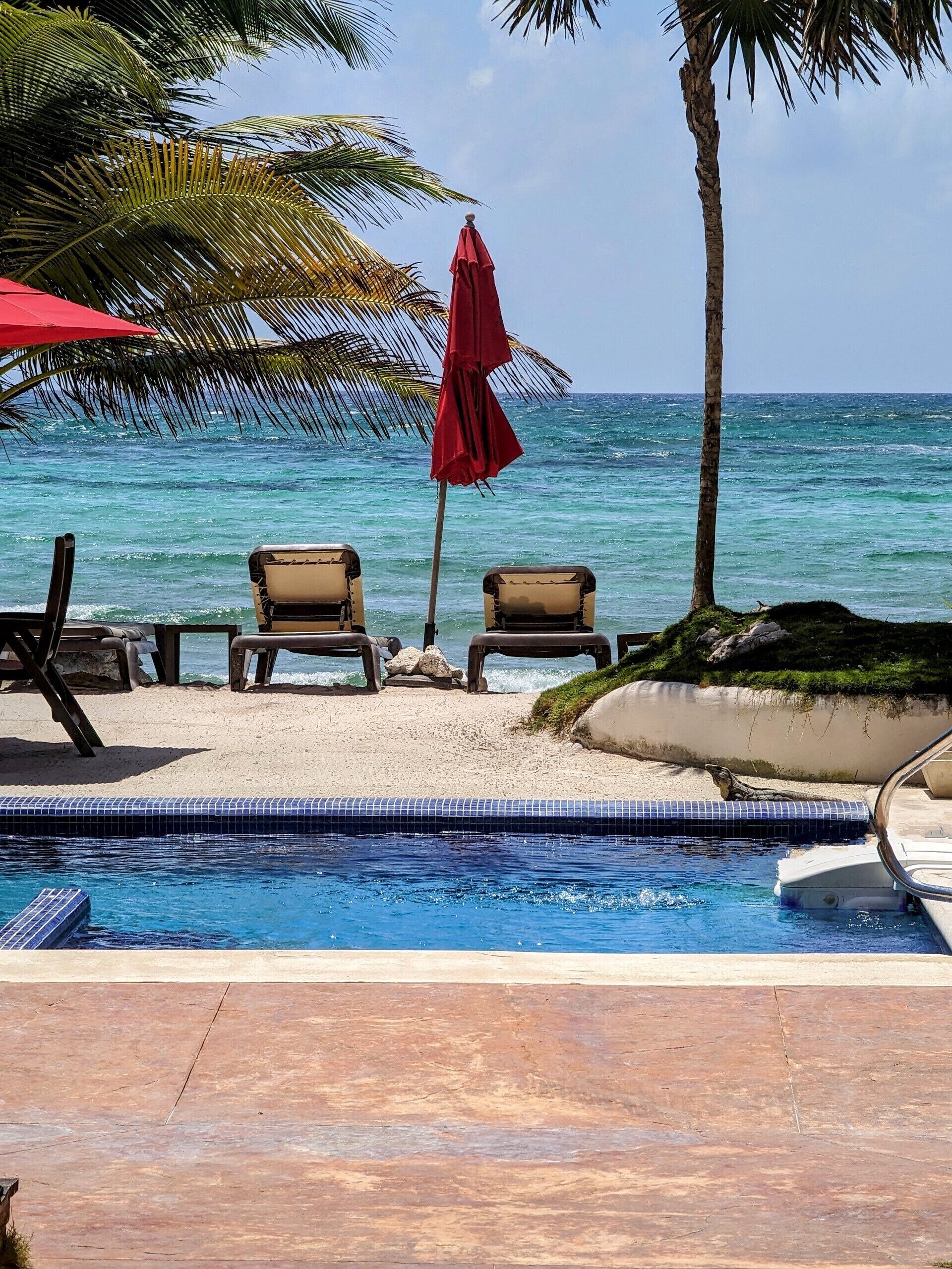 Low Season rates Book Now! Escape the cold for Paradise! Snorkel right outside !