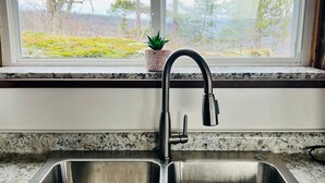 Eine Küche mit Spüle aus Edelstahl, einem modernen Wasserhahn und einem Fenster mit Blick auf Bäume und Rasen.