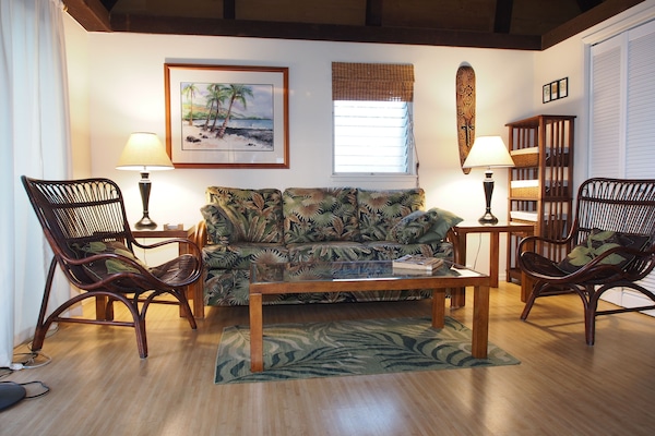 Living Room with new queen-size sleeper sofa