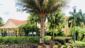 Un jardin aménagé avec des palmiers, une clôture et un bâtiment dont le toit est recouvert de tuiles rouges.