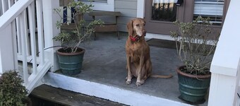 'Wrigley's Field'...Our Charming Seagrove Beach 3 BR/BA @1 Mile to Seaside