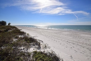 A beach with sand, sea, and sparse vegetation. - West Coast Vistas  Beach front 3 bedrooms two bath 1D (Indian Rocks Beach)