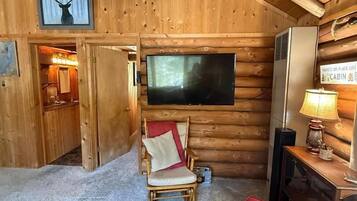 Smart TV, fireplace, books, stereo