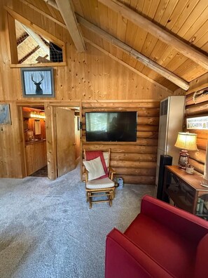 Smart TV, fireplace, books, stereo - Rustic Clam, a family friendly and pet friendly cabin with fenced in back yard. (Clam Lake)