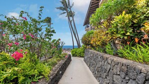 A pathway flanked by lush greenery and a stone wall, leading towards a building with a view of the ocean. - 🌴Top floor with ocean  views. Well equipped. AC and WiFi🌴 (Kailua-Kona)