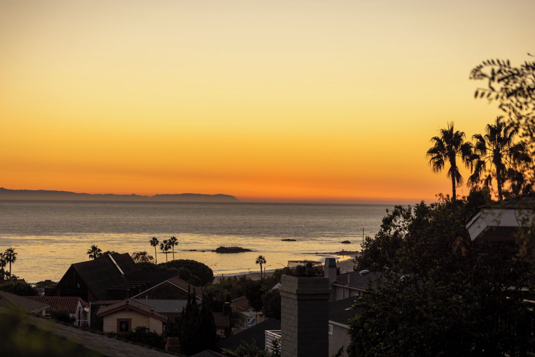 A coastal sunset view with residential buildings and palm trees.