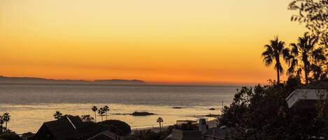 A coastal sunset view with residential buildings and palm trees.