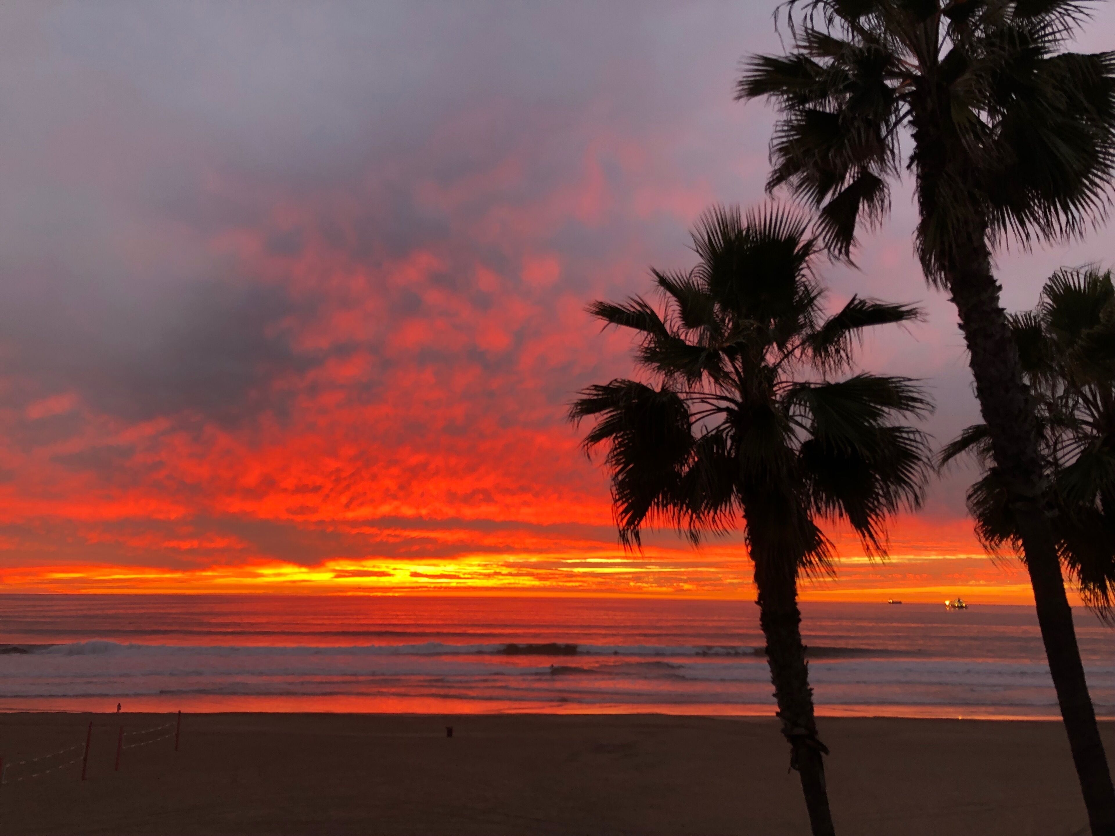 Unobstructed Ocean Views! On the Strand. - Accepting under 30 days