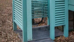A teal-colored outdoor structure with a metal roof and a small window, likely a utility or storage shed, adjacent to a house with a white window frame.