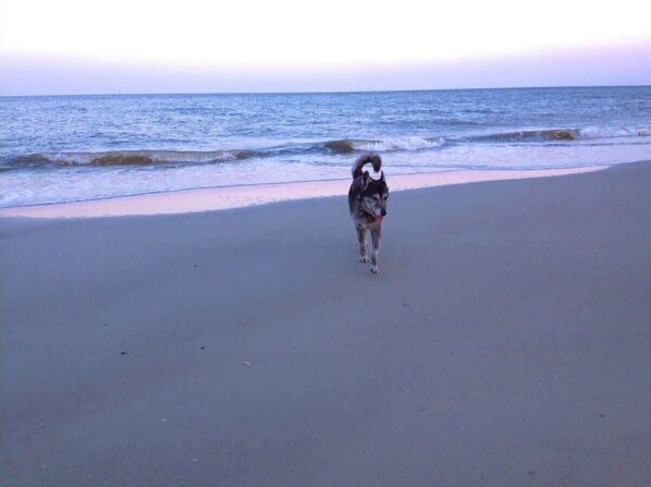 Beach nearby